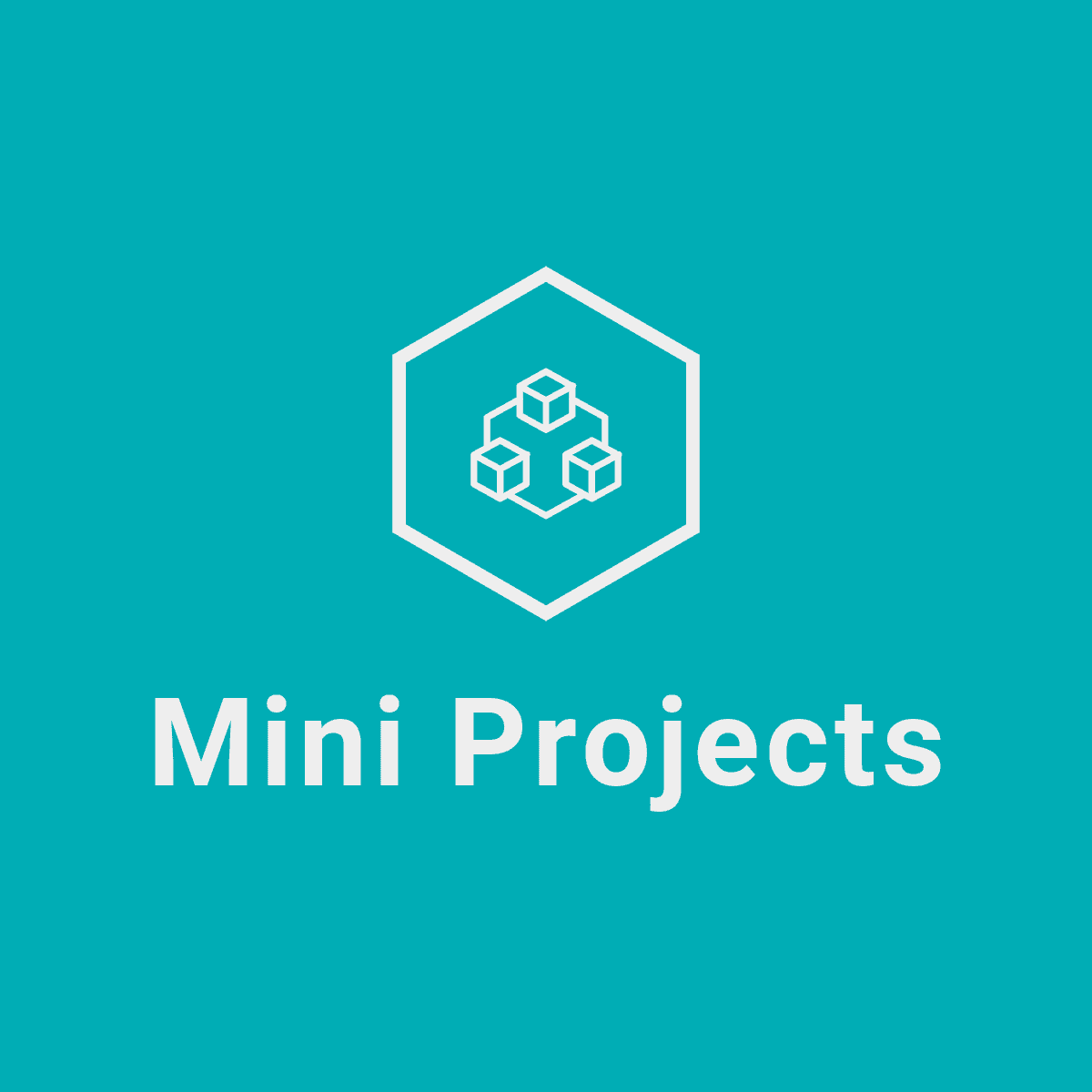 Mini Projects